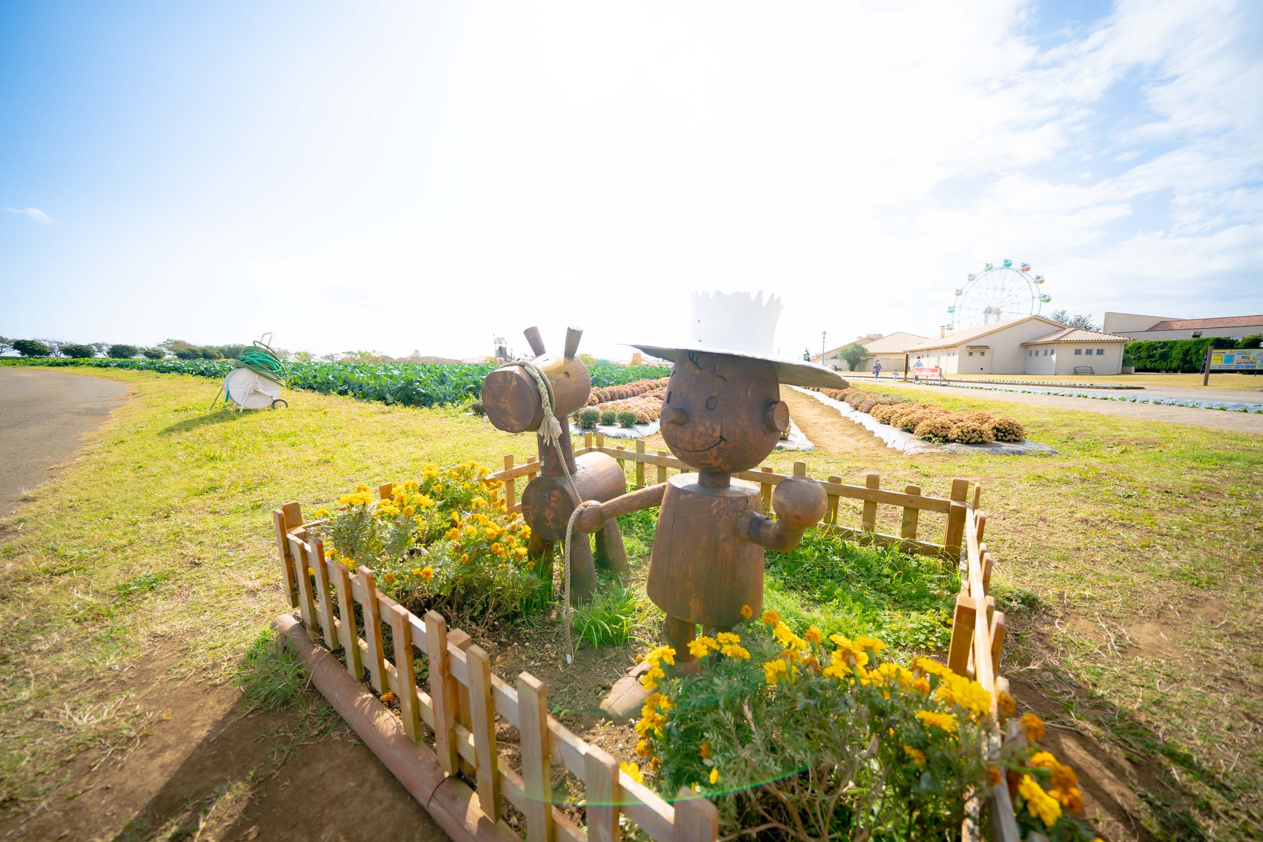 ソレイユの丘の楽しみ方を広報さんに取材 現地の写真から伝えます レクリム