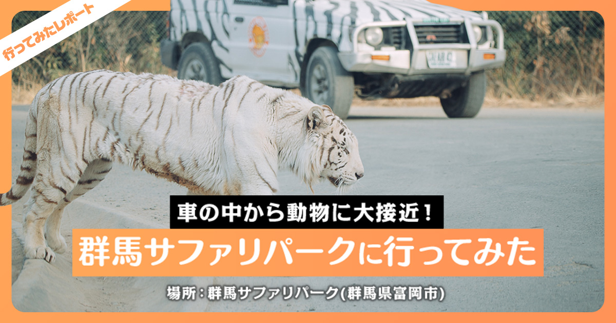 群馬サファリパークの楽しみ方を広報さんに聞いた 遊園地もあるぞ レクリム