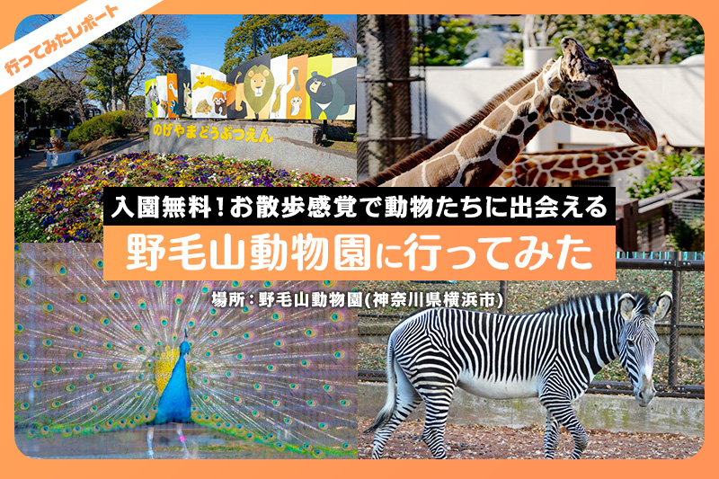 野毛山動物園の見どころを広報さんに聞いてきた 入園料が無料の理由 レクリム