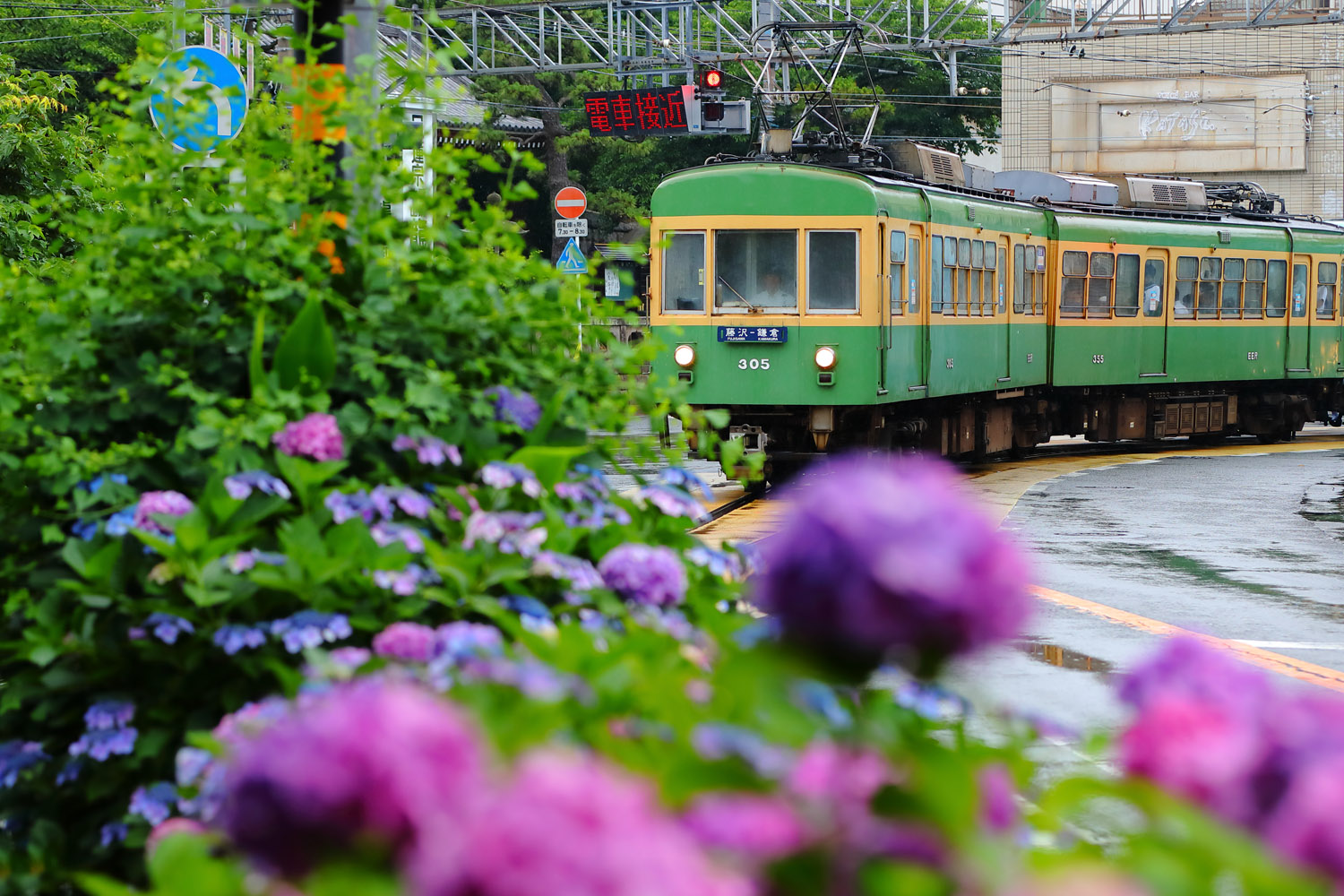 えのすい×江ノ電 「江ノ電1日乗車券のりおりくんと新江ノ島水族館入場券」セット券発売！ | レクリム