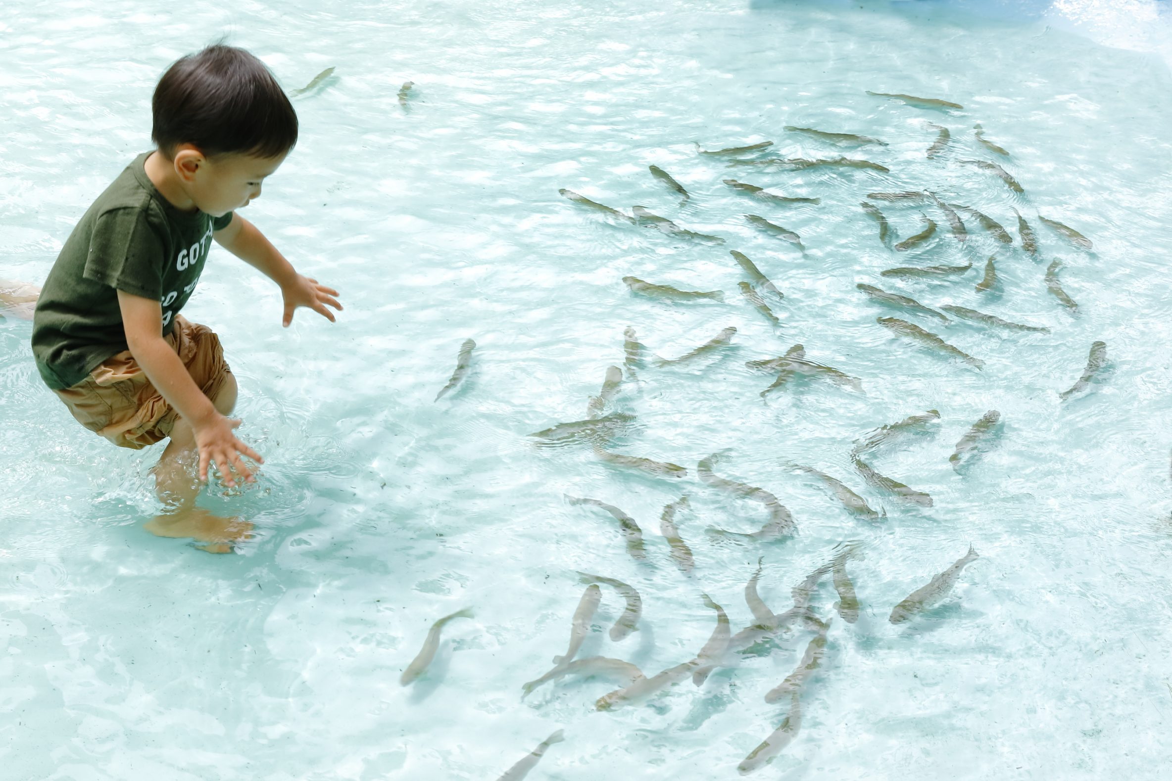軽井沢おもちゃ王国にて「ニジマスのつかみどり」体験イベント開催