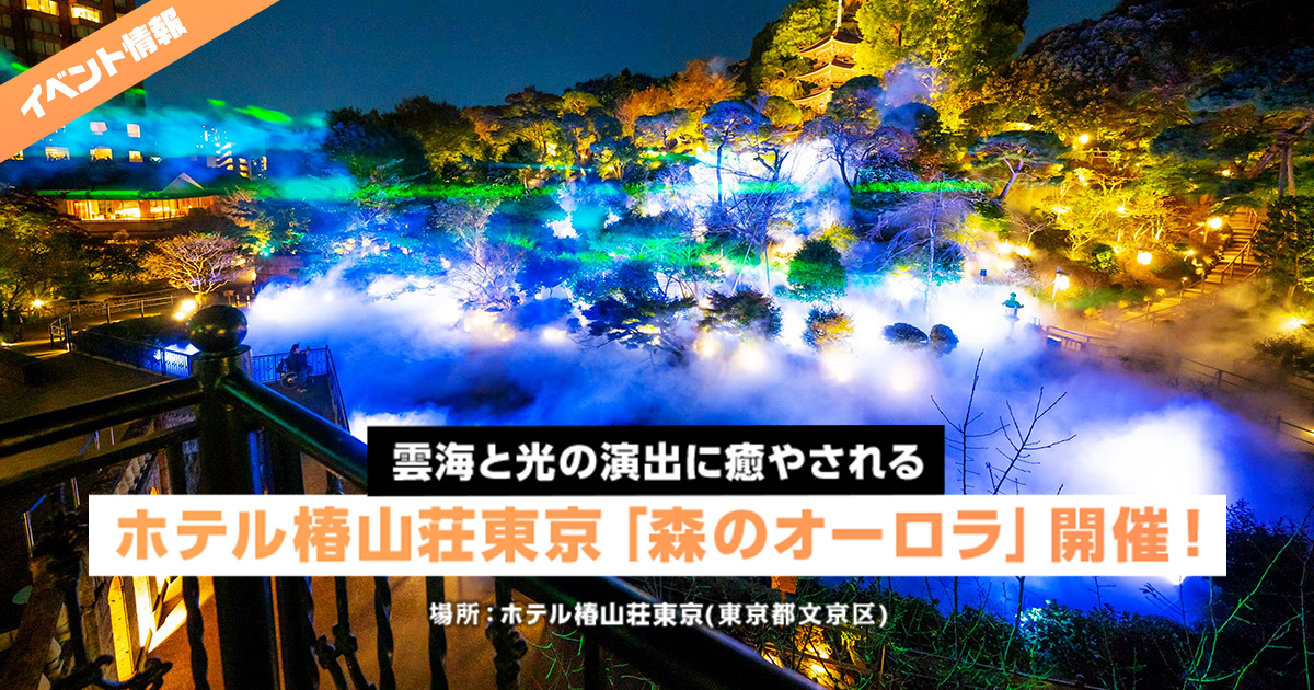 ホテル椿山荘東京 森のオーロラ 開催 雲海と光の演出に癒やされる レクリム