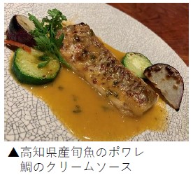 高知県産旬魚のポワレ　鯛のクリームソース