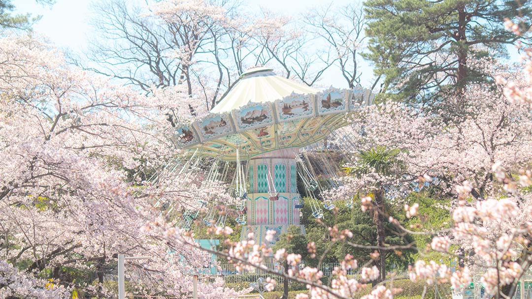 西武園ゆうえんち 桜もエモさも 満開 の巻き込まれ体験が続々新登場 とびきりエモいお花見体験を楽しもう レクリム