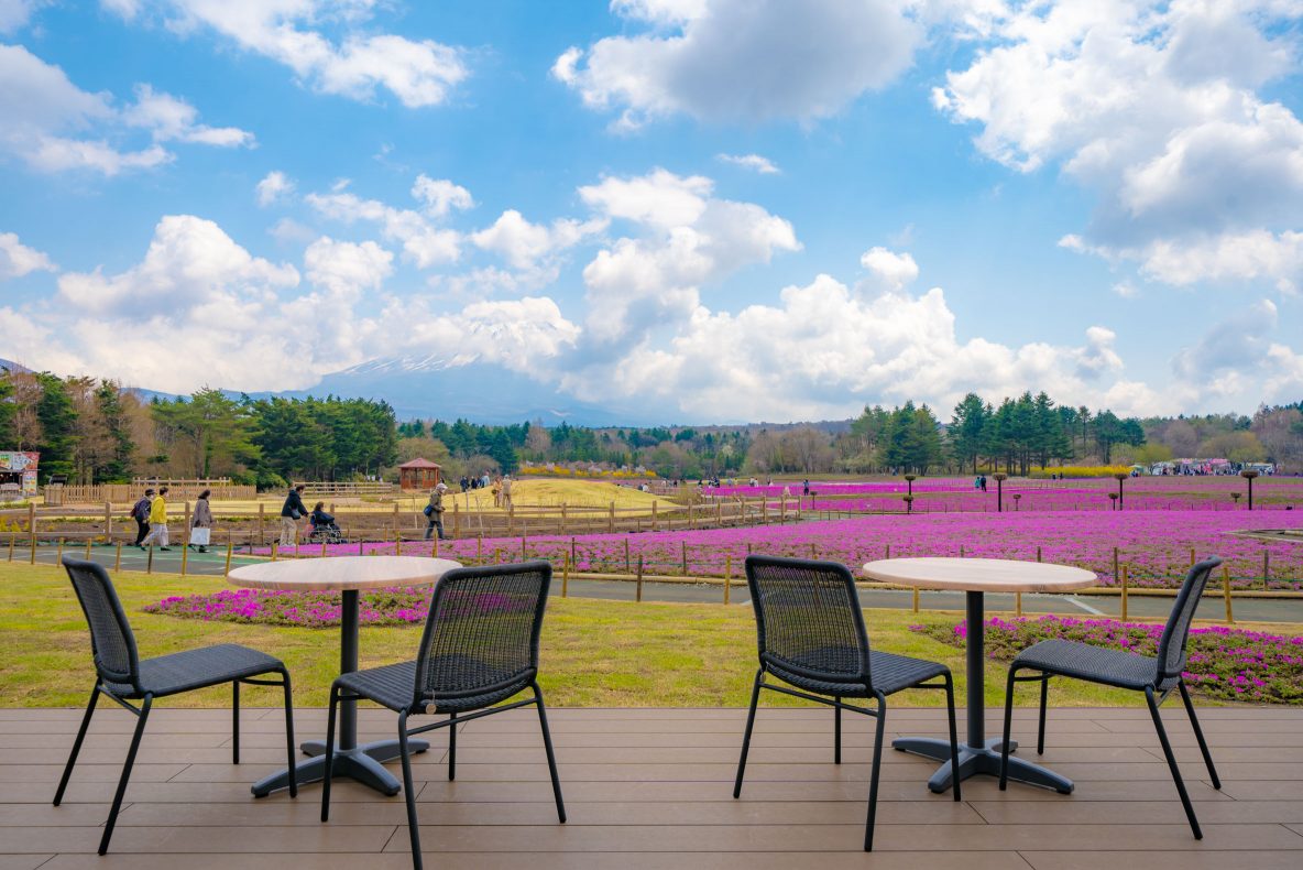 ピーターラビット™ イングリッシュガーデンに行ってみた！関東最大級の英国式庭園 | レクリム