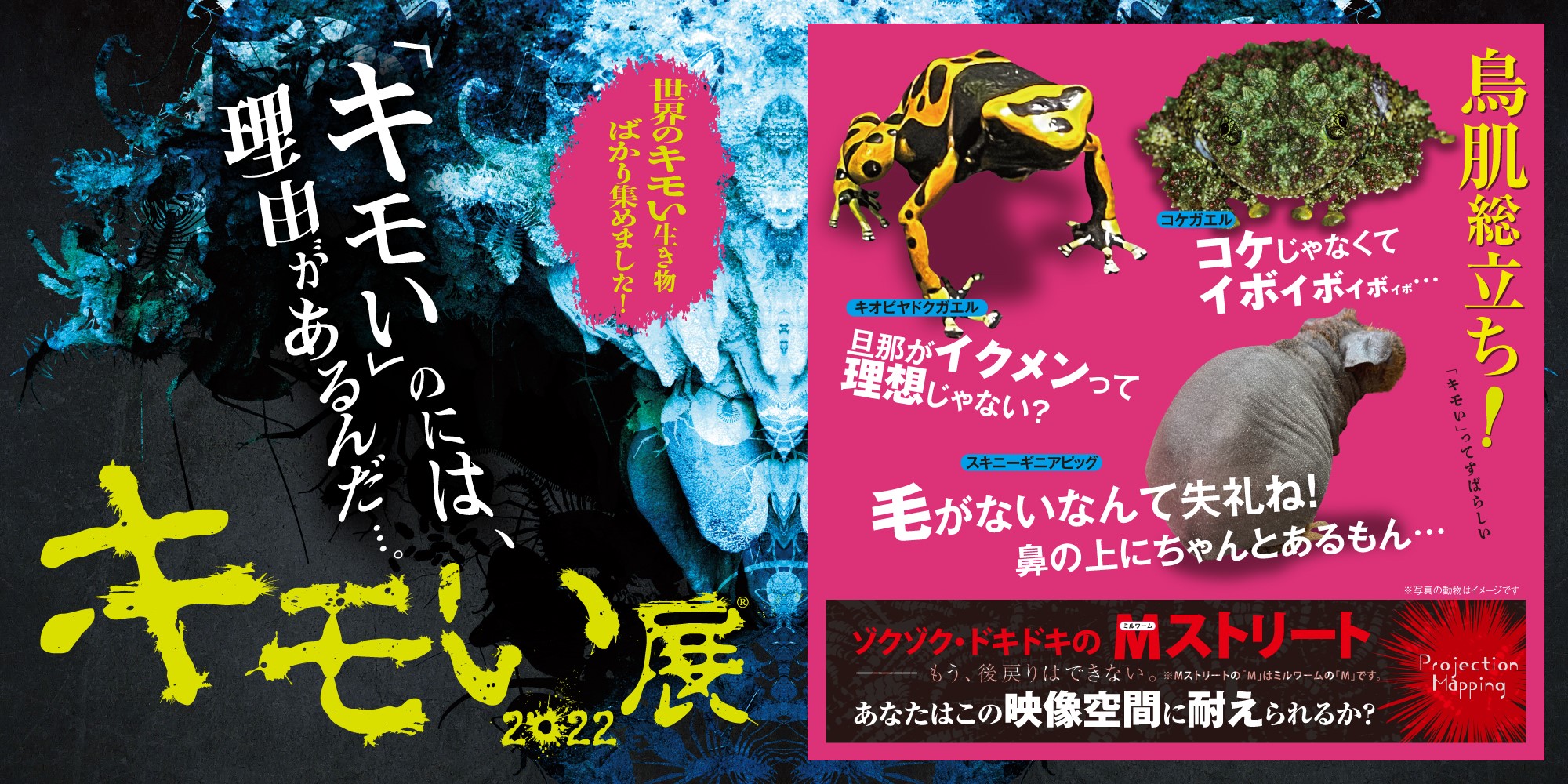 Mark Is みなとみらい キモい展22 In 横浜 累計来場者50万人突破の大人気イベント開催 レクリム