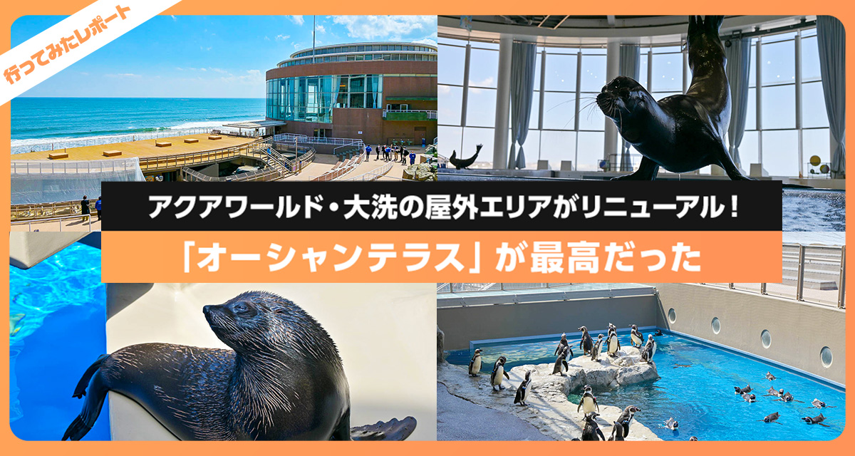 （ぎゅな様）オーシャンシアター 海洋楽園 ぎゅな様）オーシャンシアター 海洋楽園 ぎゅな様）オーシャンシアター